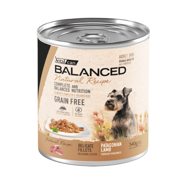 Lata Balanced Natural Recipe Filetes Perro Adulto Cordero 340 Gr