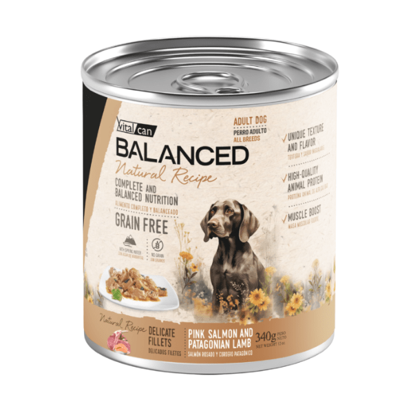 Lata Balanced Natural Recipe Filetes Perro Adulto Salmon y Cordero 340 Gr