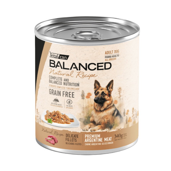 Lata Balanced Natural Recipe Filetes Perro Adulto Carne 340 Gr